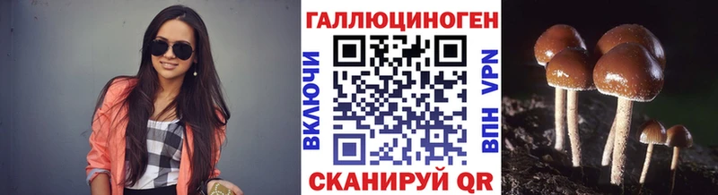 закладка  Знаменск  shop какой сайт  Псилоцибиновые грибы Psilocybe 